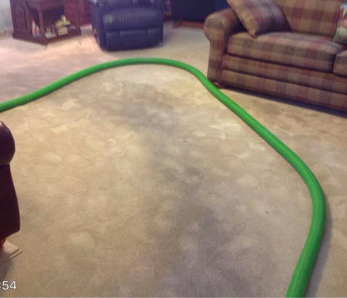 Green hose on dirty wet carpet in living room