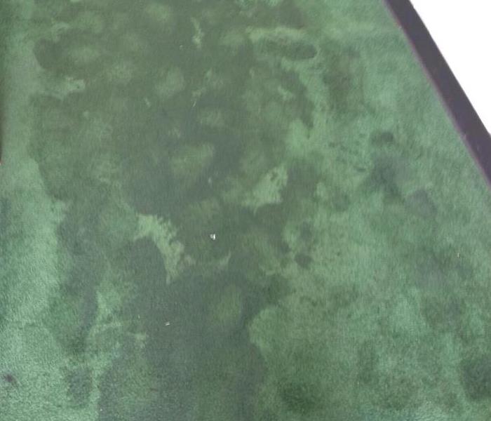 Water on green carpet